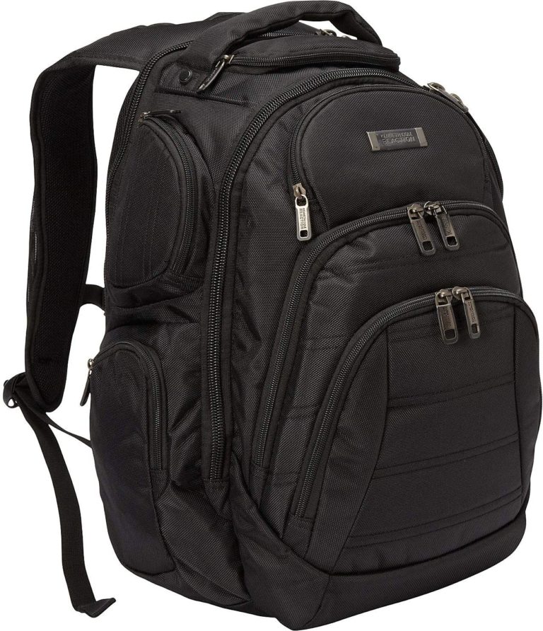 Dinictis 40L Travel Backpack - Nomad Travel Gear